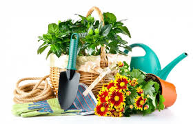 test test'